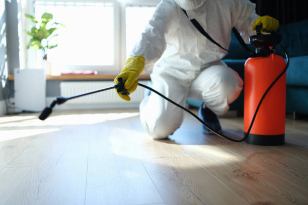 Reliable Odor Removal contractor in Amherst, NE by Trauma Clean Pros